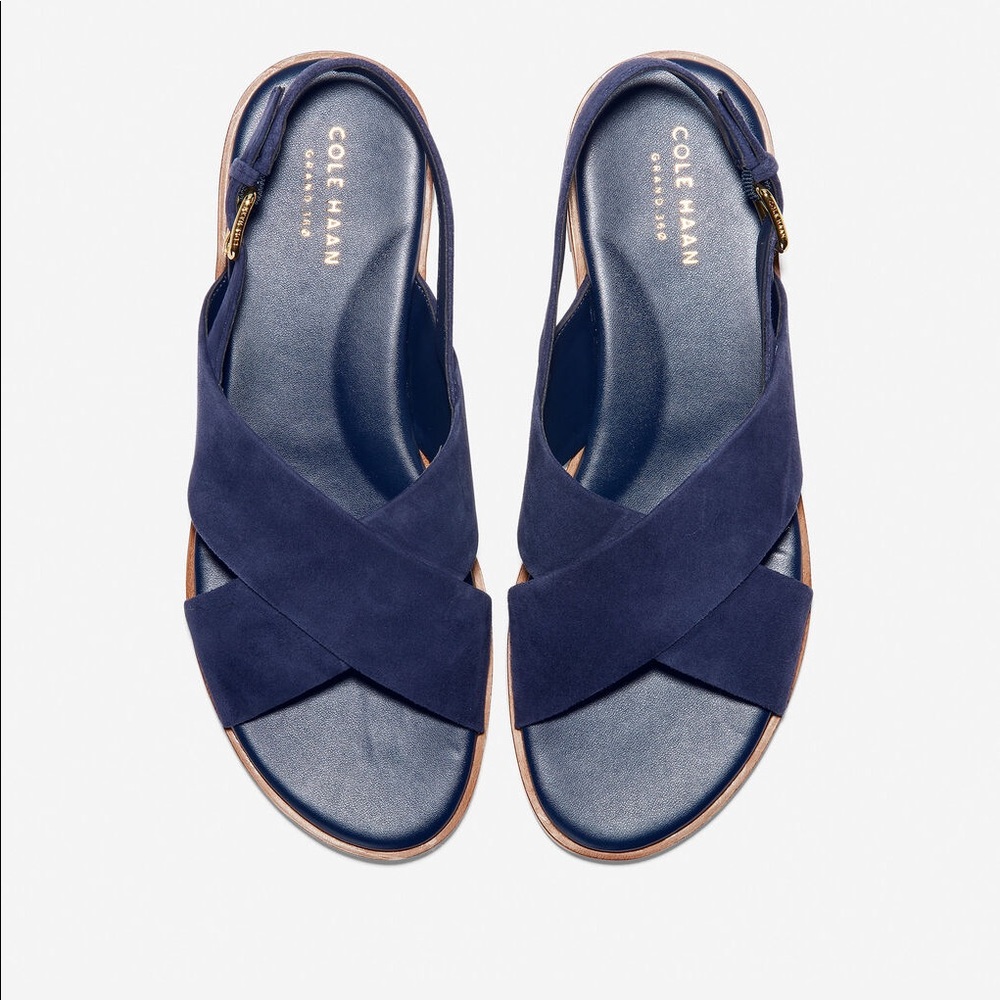 Cole Haan Fernanda Sandals (Suede blue) - US 7